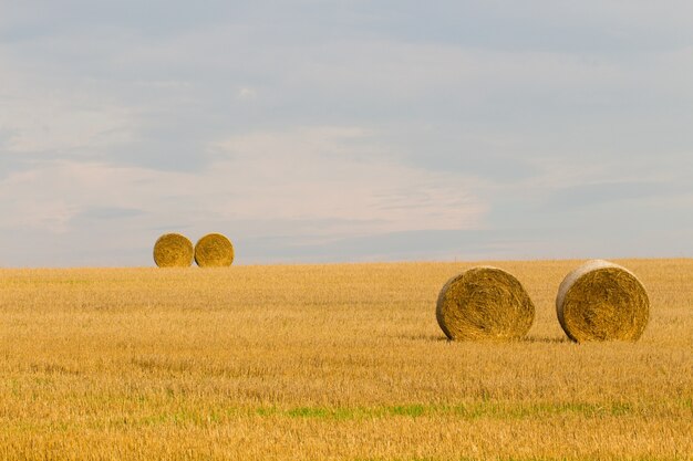 Hey roule dans la vallée dans une zone rurale