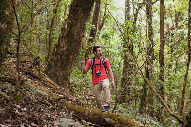 Hiker posant à côté de grand arbre