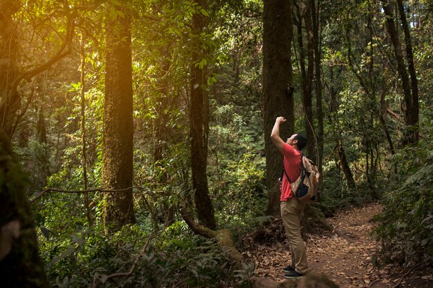 Photo gratuite hiker prenant une photo d'un grand arbre