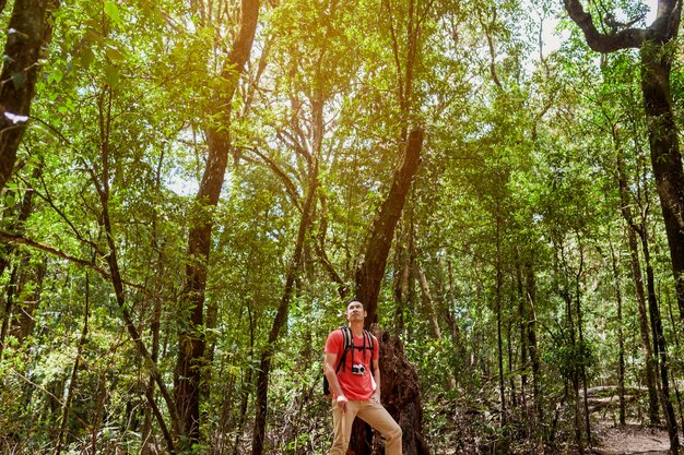 Hiker regardant vers le haut