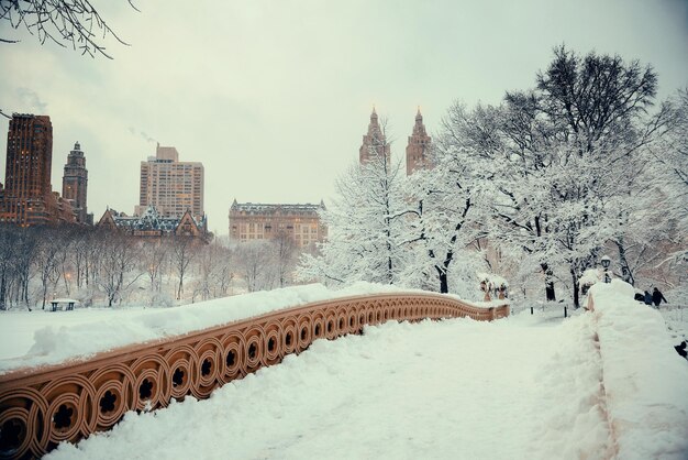 L'hiver de Central Park avec des gratte-ciel et Bow Bridge dans le centre de Manhattan New York City