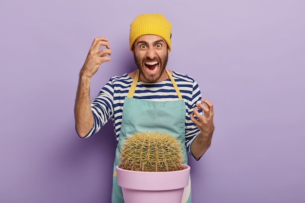 Homme agacé jardinier coupe le doigt avec l'épine de cactus, se tient près du pot, porte un chapeau décontracté, un tablier, des gestes avec colère