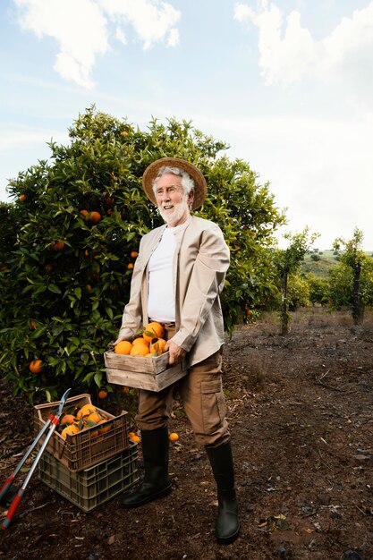 Homme âgé avec des oranges fraîches