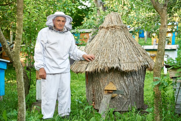 Un homme âgé portant des costumes d'apiculture la récolte de miel dans son rucher en plein air copyspace.