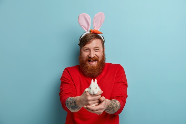 Photo gratuite un homme aux cheveux rouges barbu positif vous donne un petit lapin blanc moelleux, a une bonne humeur festive avant les vacances, se prépare pour pâques, porte un pull rouge et des oreilles de lapin, isolés sur un mur bleu.