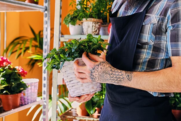 Un homme barbu aux bras tatoués tient un pot de fleurs.