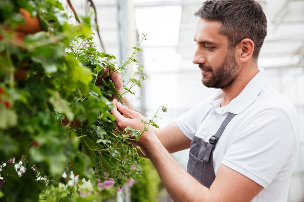 Homme barbu concentré en t-shirt blanc travaillant avec des plantes