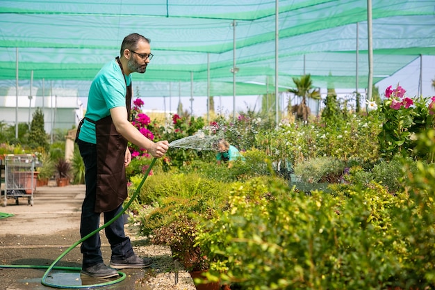 Homme barbu tenant le tuyau, debout et arroser les plantes. Collègue floue méconnaissable de plus en plus de fleurs. Deux jardiniers en uniforme et travaillant en serre. Activité de jardinage et concept d'été