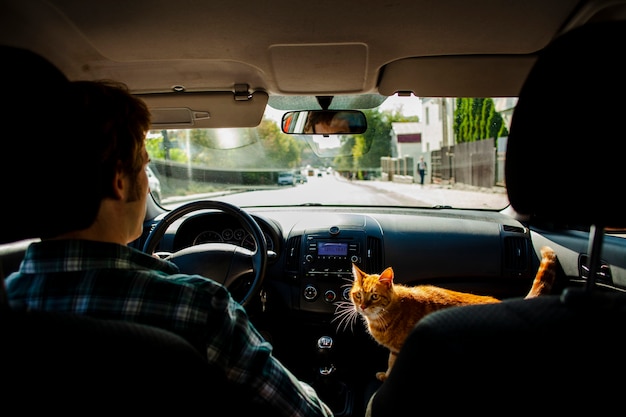 Homme conduisant avec un beau chat à côté de lui