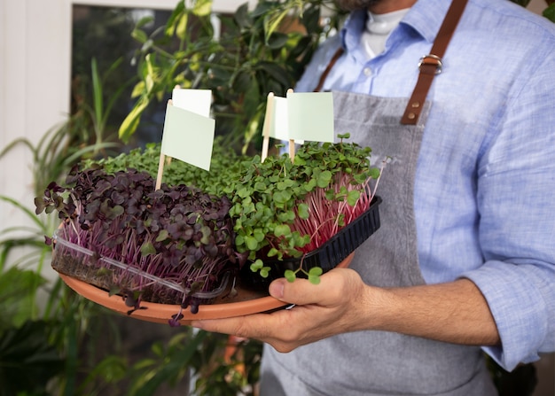 Photo gratuite homme cultivant et cultivant des plantes à l'intérieur