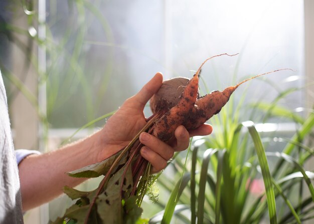 Homme cultivant des légumes dans son jardin intérieur