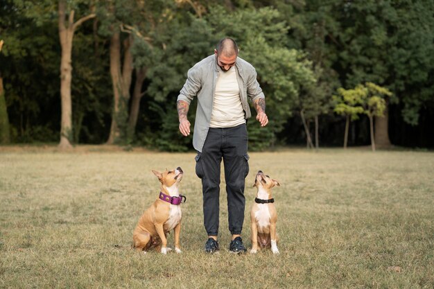 Homme entraînant ses chiens pitbull