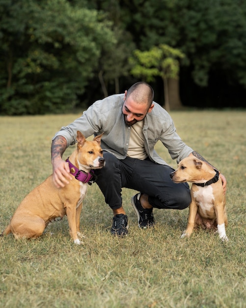 Homme entraînant ses chiens pitbull