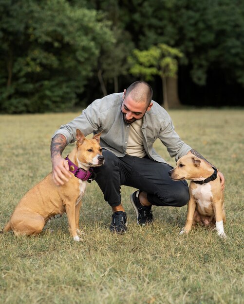 Homme entraînant ses chiens pitbull