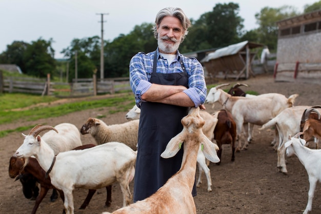 Photo gratuite homme à faible angle nourrir les chèvres