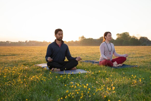 Homme et femme faisant du yoga ensemble à l'extérieur