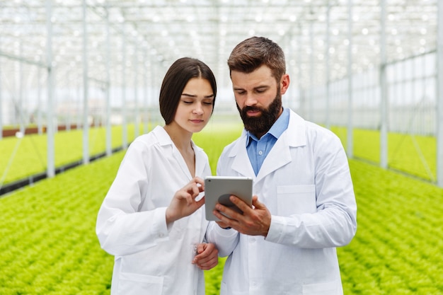 Homme et femme travaillent avec tablette debout dans la serre