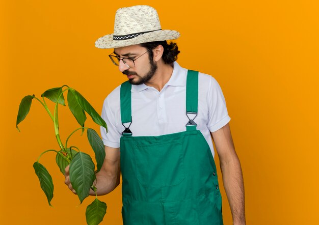 Homme jardinier désemparé dans des lunettes optiques portant chapeau de jardinage tient et regarde la plante