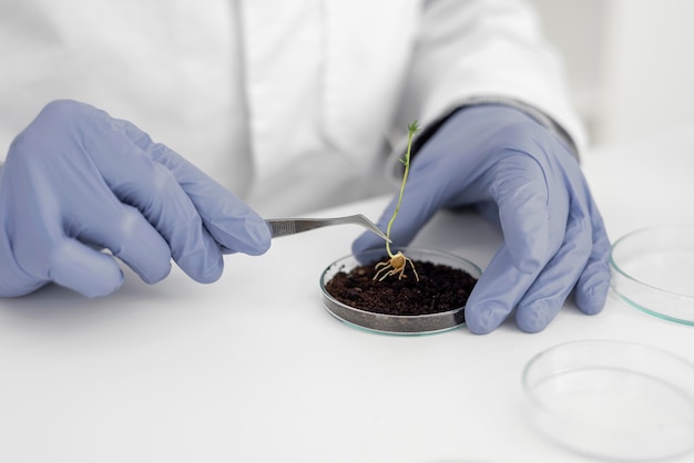 L'homme en laboratoire faisant des expériences gros plan sur germination