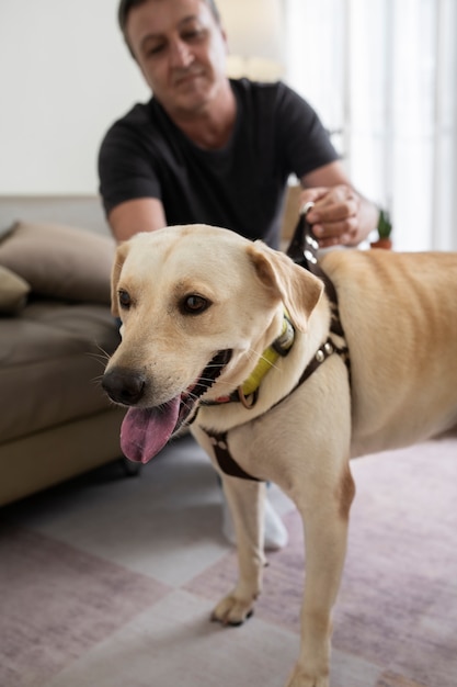 Photo gratuite homme à la maison mettant une laisse à son chien