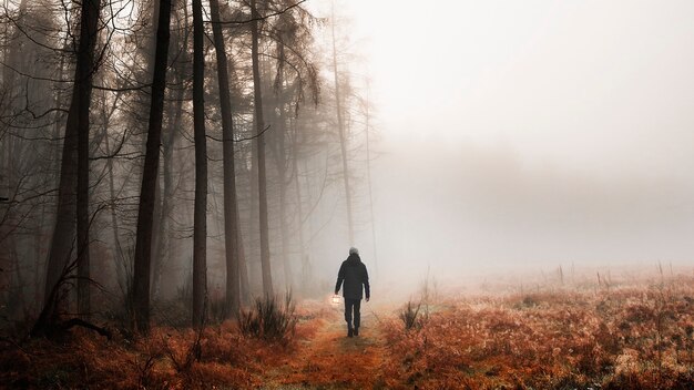 Homme marchant dans un fond d'écran de téléphone portable dans les bois brumeux