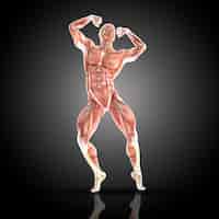 Photo gratuite homme musclé posant avec ses muscles