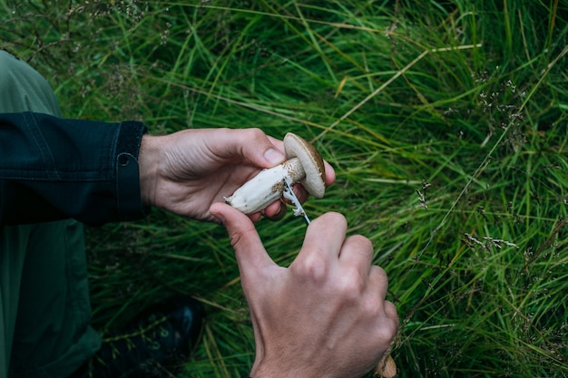 Homme nettoyer les champignons cueillis sauvages frais