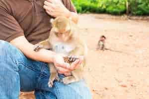 Photo gratuite un homme nourrissait les singes