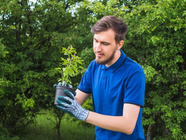 Homme plantant une petite plante en pot