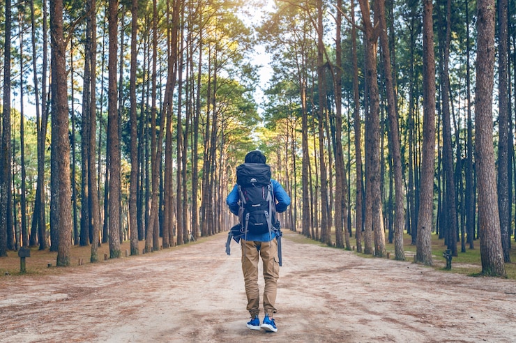 Photo gratuit homme de randonnée avec sac à dos marchant dans la forêt.