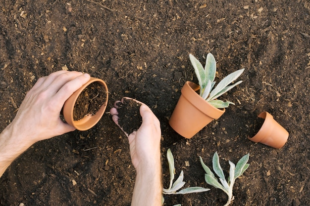 Photo gratuite homme remplissant des pots de fleurs avec de la terre