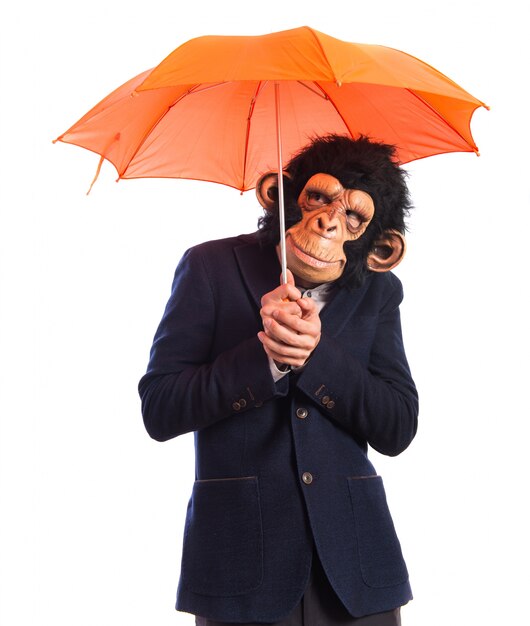 Homme singe tenant un parapluie