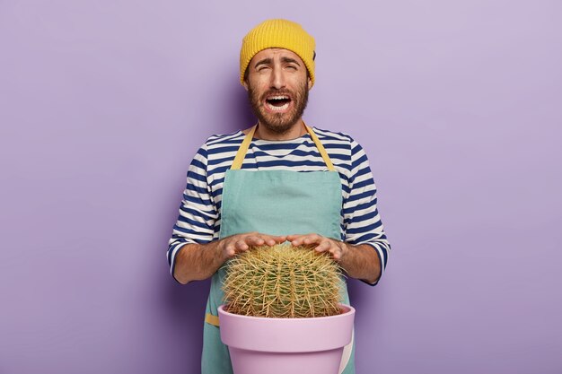 Homme sombre en détresse touche cactus épineux, s'occupe de la plante d'intérieur en pot, porte un tablier, isolé sur fond violet. Fleuriste bouleversé occupé travaille