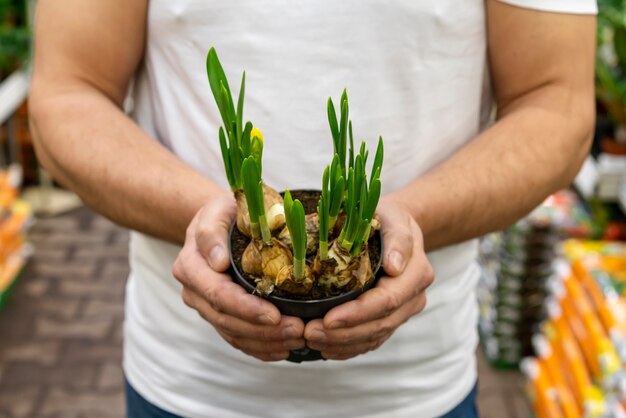 Homme tenant des plantes d'intérieur élégantes