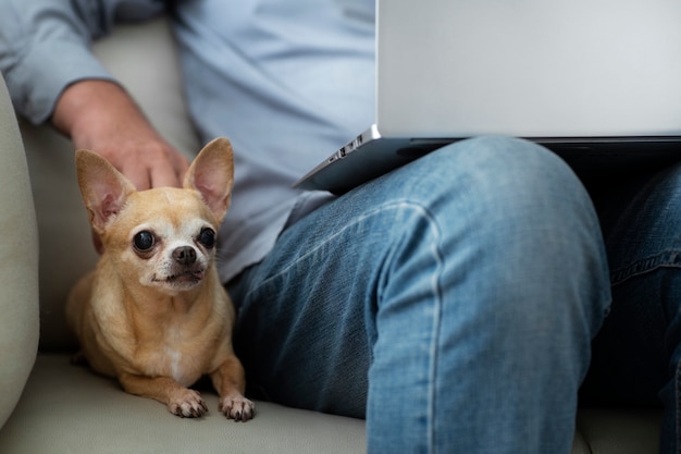 Homme travaillant sur un ordinateur portable à la maison à côté de son chien