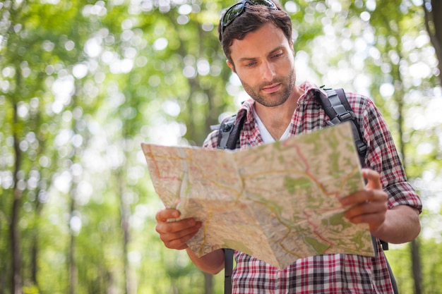 Homme vérifiant une carte dans la forêt