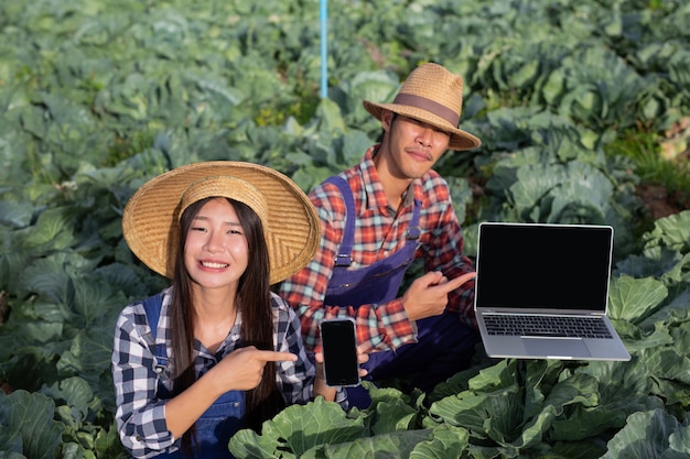 Les hommes et les femmes de l'agriculture qui utilisent la technologie pour analyser leurs légumes dans l'agriculture moderne.