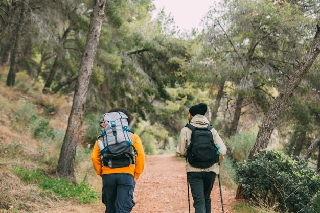 Hommes, trekking, dans, nature