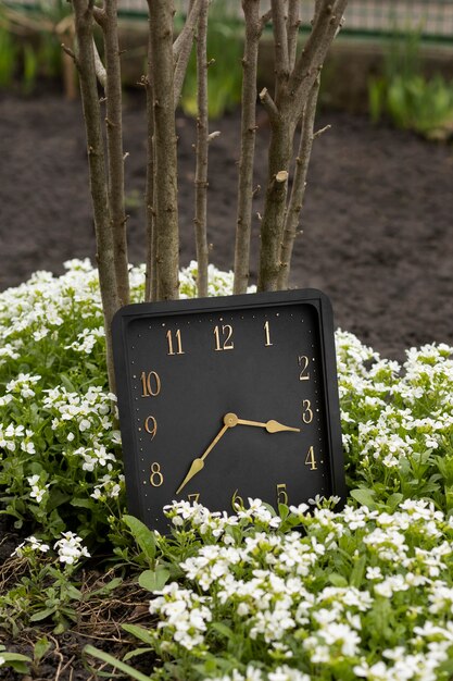 Horloge carrée nature morte à l'extérieur