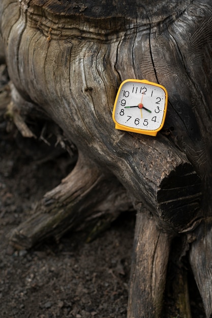 Photo gratuite horloge carrée nature morte à l'extérieur