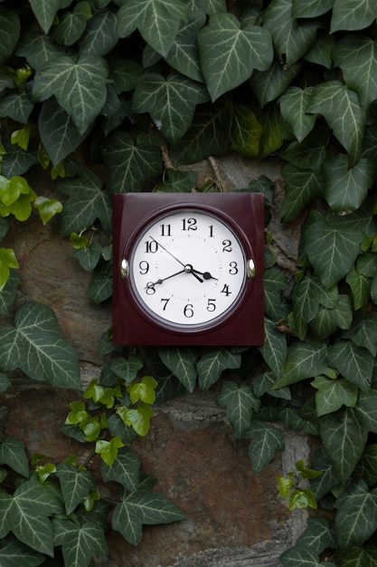 Photo gratuite horloge carrée nature morte à l'extérieur