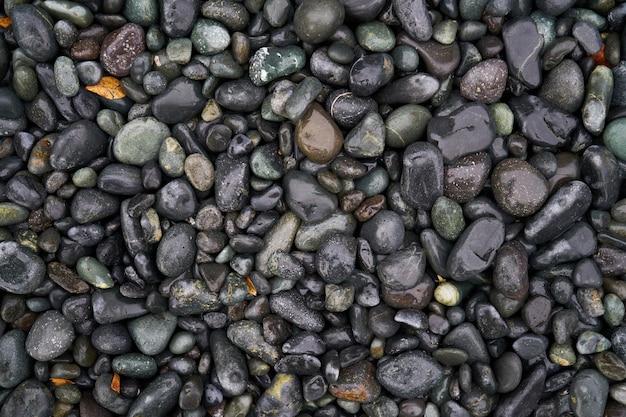 Photo gratuite humide agrandi milieux de galets en pierre