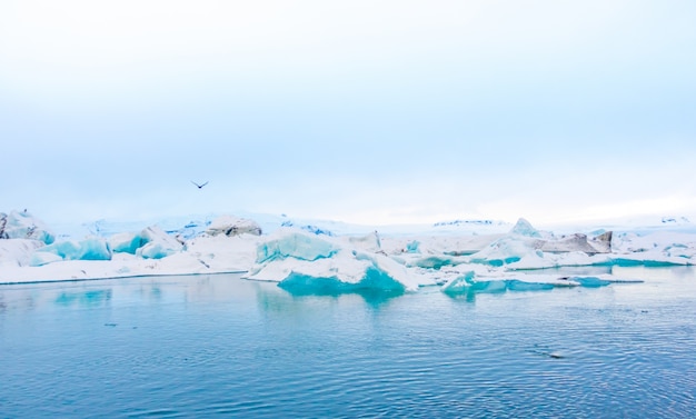 Photo gratuite icebergs dans la lagune des glaciers, en islande.