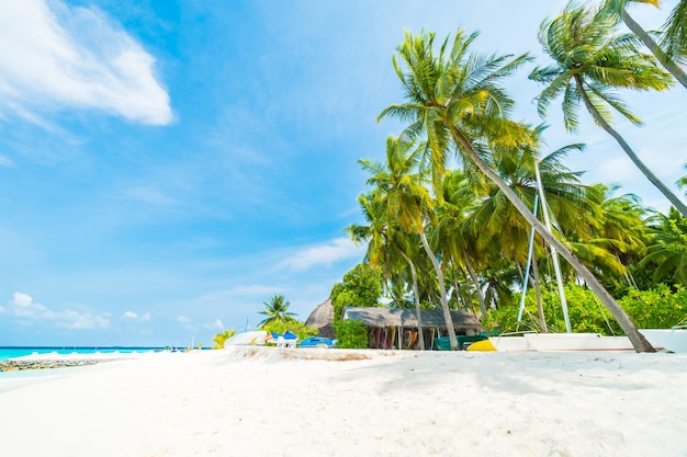 Île Des Maldives