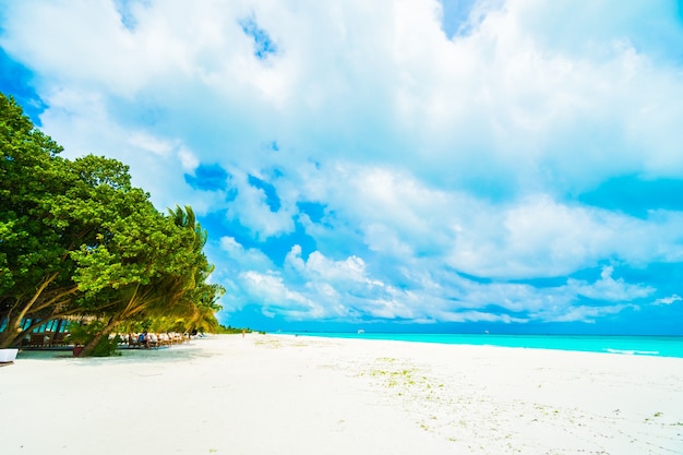 Photo gratuite Île des maldives