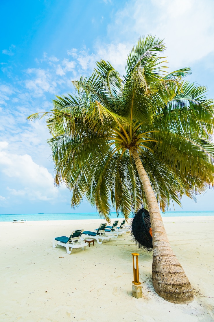 Photo gratuit île des maldives