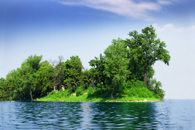 île verte avec des arbres