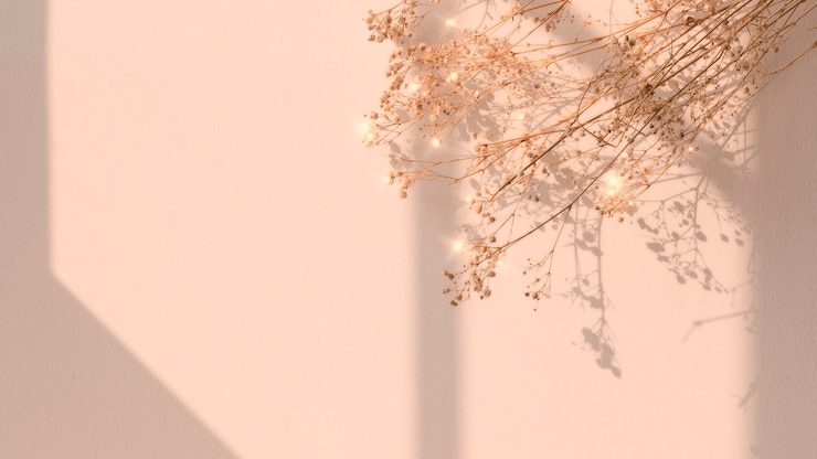 Photo gratuit image florale ombre fenêtre fleur séchée