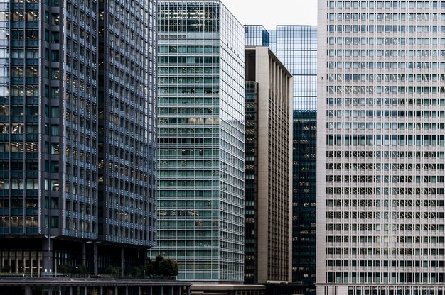 Immeubles de bureaux modernes dans la ville