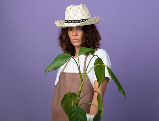 Impressionné jeune femme jardinière en uniforme portant chapeau de jardinage holding plant